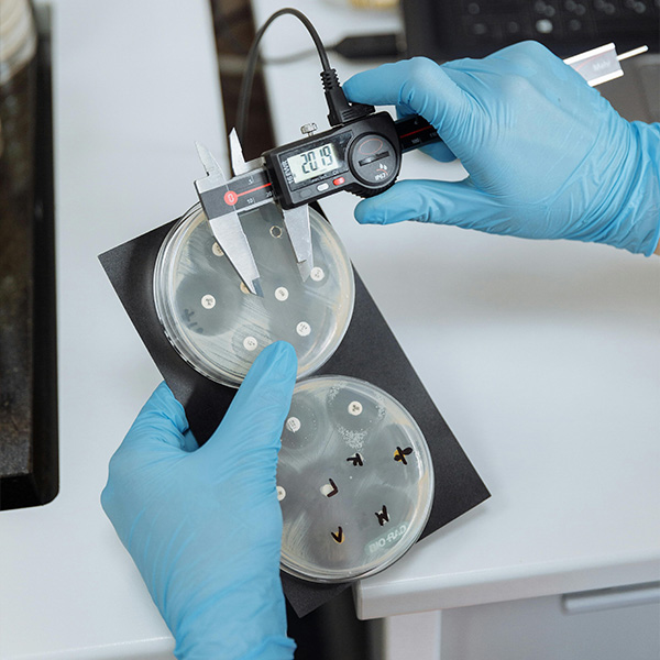 THIRD YEAR  BACTERIOLOGY 